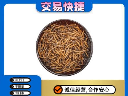 海丰县回收散虫草